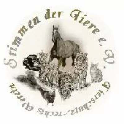 Bild: Ehrliches Gedenken zu St. Martin Tag