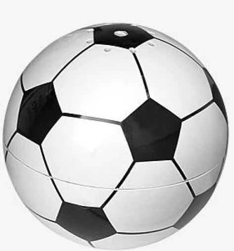 Bild: Die Fußball-Weltmeisterschaft in Südafrika – das große Fußballereignis rückt näher