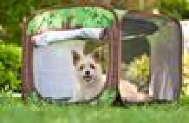 Spielzeuge, Tiernahrung oder GPS-Ortung - Hongkonger Gemeinschaftsstand feiert Premiere auf der Interzoo Bild: Spielzeuge, Tiernahrung oder GPS-Ortung - Hongkonger Gemeinschaftsstand feiert Premiere auf der Interzoo