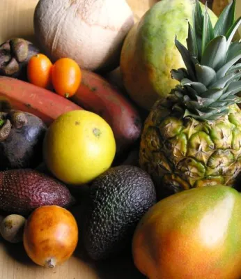 Bild: Gesund leben mit Rohkost