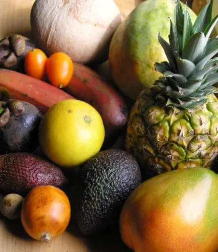 Bild: Gesund leben mit Rohkost