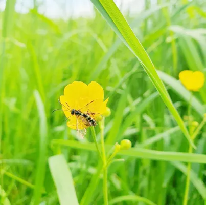 Bild: LIfBi bei "Book a Scientist": Bildungswissenschaftler:innen geben Einblick in ihre Froschung