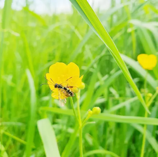 Bild: LIfBi bei "Book a Scientist": Bildungswissenschaftler:innen geben Einblick in ihre Froschung