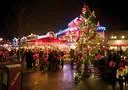 Bild: Winter-Zoo war voller Erfolg
