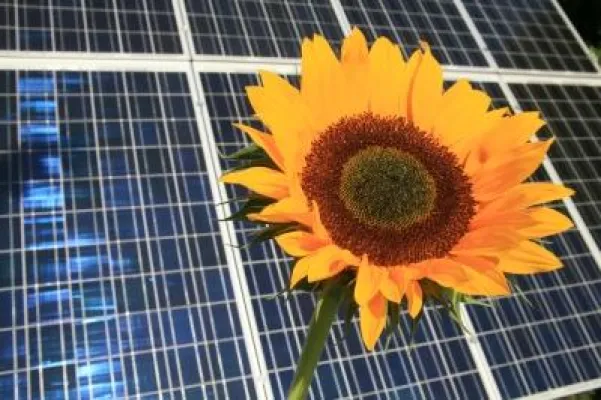 Bild: Kürzung der Einspeisevergütung für Solarstrom: Die Atomlooby hat die Regierung fest in der Hand