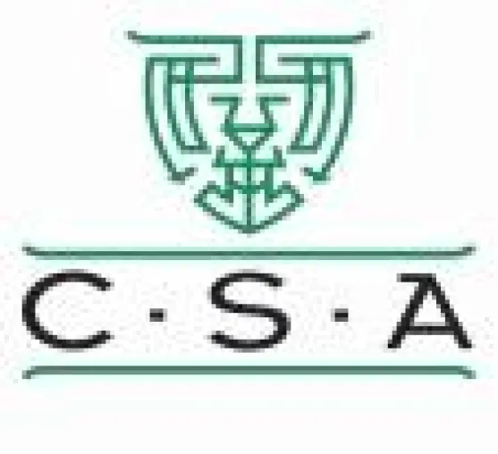 Bild: CSA AG informiert: Experten befürchten weiterhin zögerliche Kreditvergabe der Banken für 2010