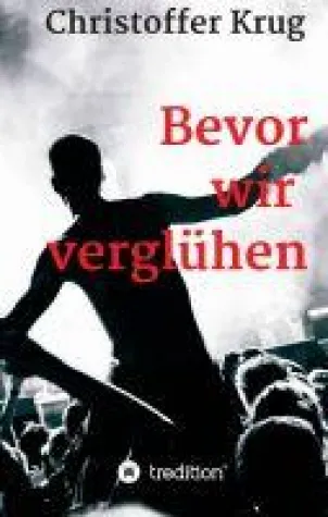 Bevor wir verglühen - mutige Punk-Literatur der Extraklasse Bild: Bevor wir verglühen - mutige Punk-Literatur der Extraklasse