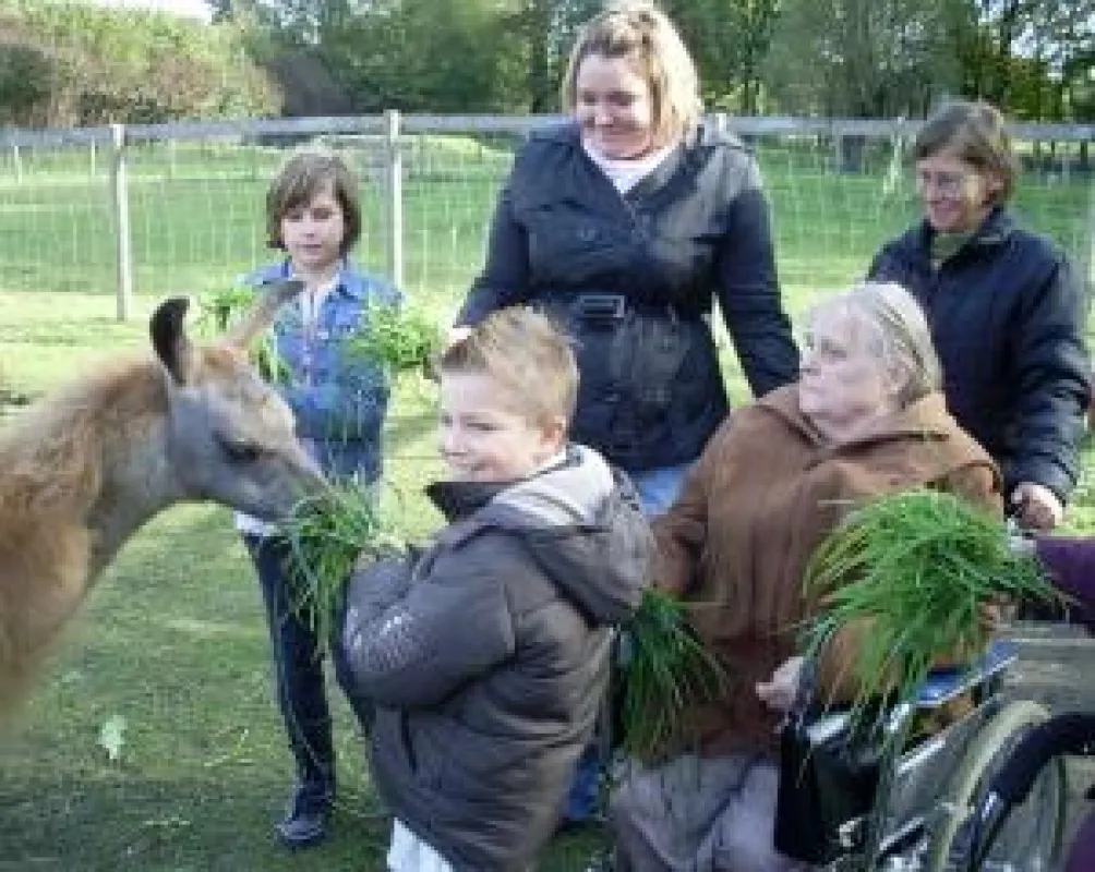Beim gemeinsamen hautnahen Erleben von echten Lamas kommen Generationen zusammen - Dank Prachtlamas und Gelsenwasser.