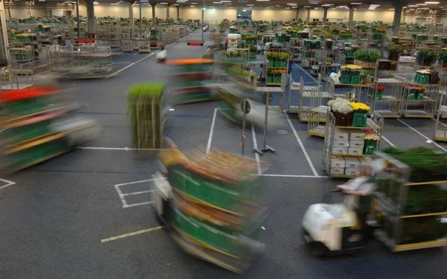 BIT IT lässt Landgard-Netz aufblühen Bild: BIT IT lässt Landgard-Netz aufblühen