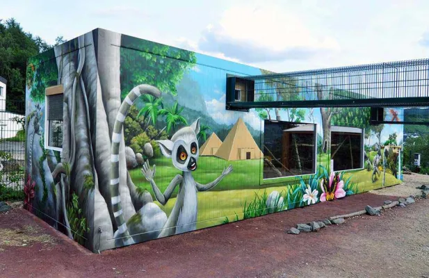 Die Kattas im Galileo-Park haben ein neues Zuhause Bild: Die Kattas im Galileo-Park haben ein neues Zuhause