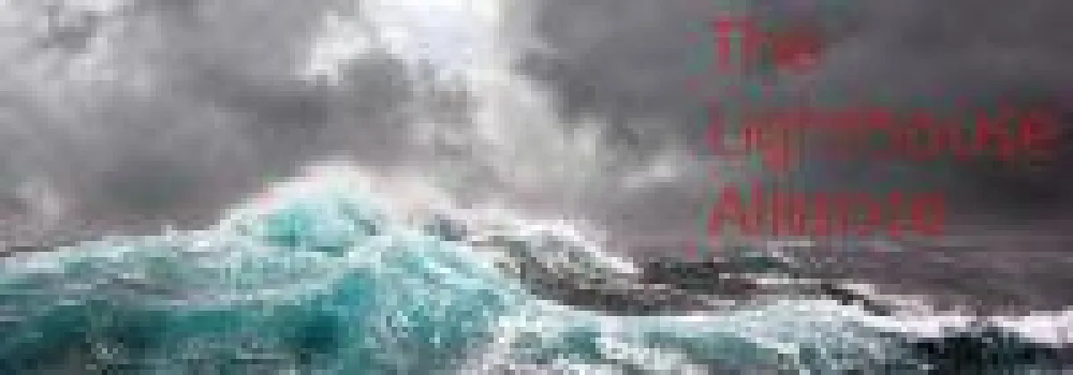 The Lighthouse Alliance - Die Kunden-Allianz gegen Software Audits