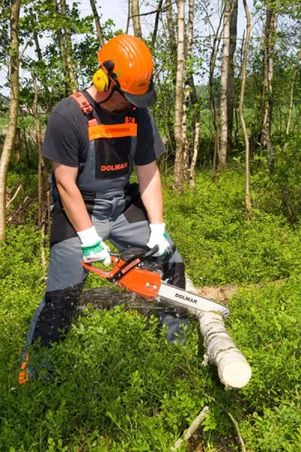 Die Dolmar PS-32 C im Brennholz-Einsatz.