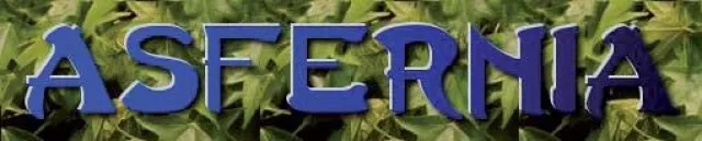 Bild: COMPETENCE4ALL Ltd. weiter auf Erfolgskurs mit dem neuen Internetportal Asfernia.de