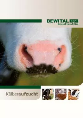 Bild: Junge Kälber nicht hungern lassen