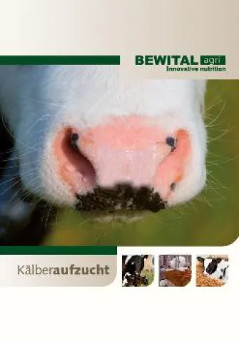 Bild: Junge Kälber nicht hungern lassen