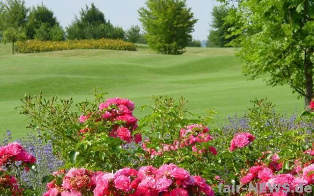 Bild: Turnier mit Herz - Charity-Ärzte-Golfturnier