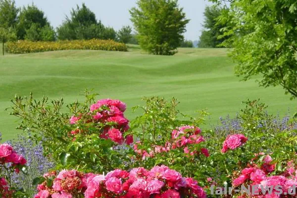 Turnier mit Herz - Charity-Ärzte-Golfturnier Bild: Turnier mit Herz - Charity-Ärzte-Golfturnier