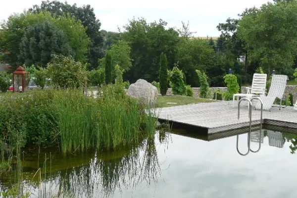Bild: Natürliche Schwimmteiche im eigenen Garten werden immer beliebter - heiße Sommer, nasser Spaß