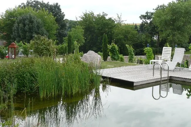 Natürliche Schwimmteiche im eigenen Garten werden immer beliebter - heiße Sommer, nasser Spaß Bild: Natürliche Schwimmteiche im eigenen Garten werden immer beliebter - heiße Sommer, nasser Spaß
