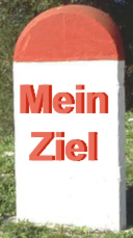 Verwandeln Sie die Steine auf Ihrem Lebensweg in Meilensteine des Erfolges.