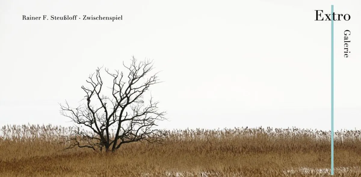 Zwischenspiel - Rainer F. Steußloff