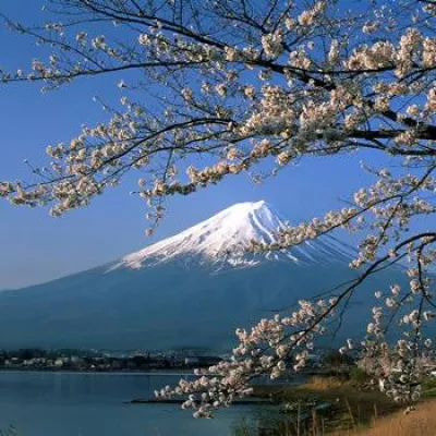 Bild: Japan wird zum günstigen Reiseland