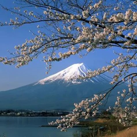 Japan wird zum günstigen Reiseland Bild: Japan wird zum günstigen Reiseland