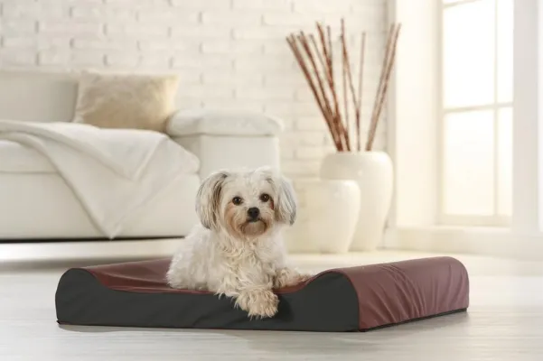 Bild: Hundebett PULMACELL® relax – orthopädisch, allergendicht & chick