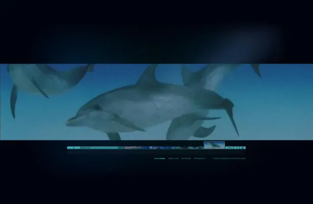 Bild: Scholz & Volkmer mit if gold award ausgezeichnet