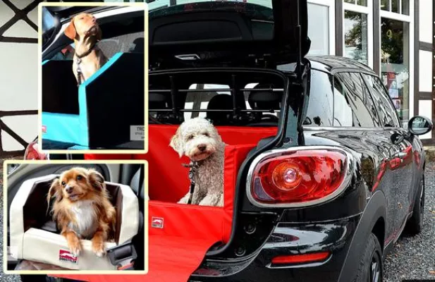 Bild: Todesfalle Anschnallgurt für den Hund im Auto: Hundebett schlägt Hundetransportbox