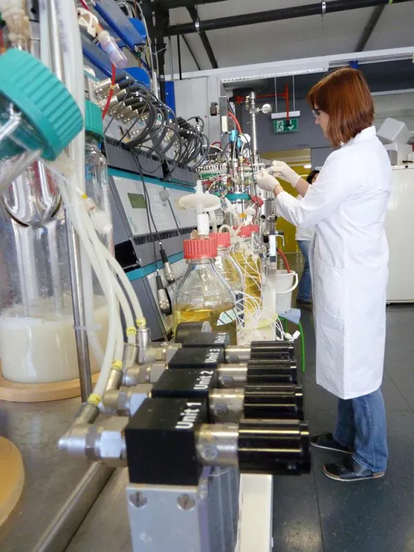 Bioreaktoren kommen beim Herstellen von Biosprit zum Einsatz