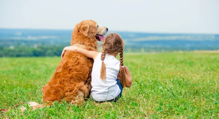 Bild: Gesunder Darm, gesunder Hund: So schützt REICOs „Lebe flüssig“ vor Umweltbelastungen