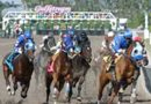 Bild: Die ungeschlagene Indy's Alexandra kehrt zu den „Old Hat Stakes“ (G2) in Gulfstream Park zurück