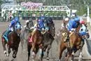 Bild: Die ungeschlagene Indy's Alexandra kehrt zu den „Old Hat Stakes“ (G2) in Gulfstream Park zurück