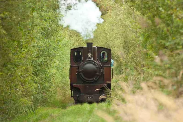 Bild: Technik-Fans gesucht. Der Förderverein des Ziegeleiparks Mildenberg sucht ehrenamtliche Mitstreiter.