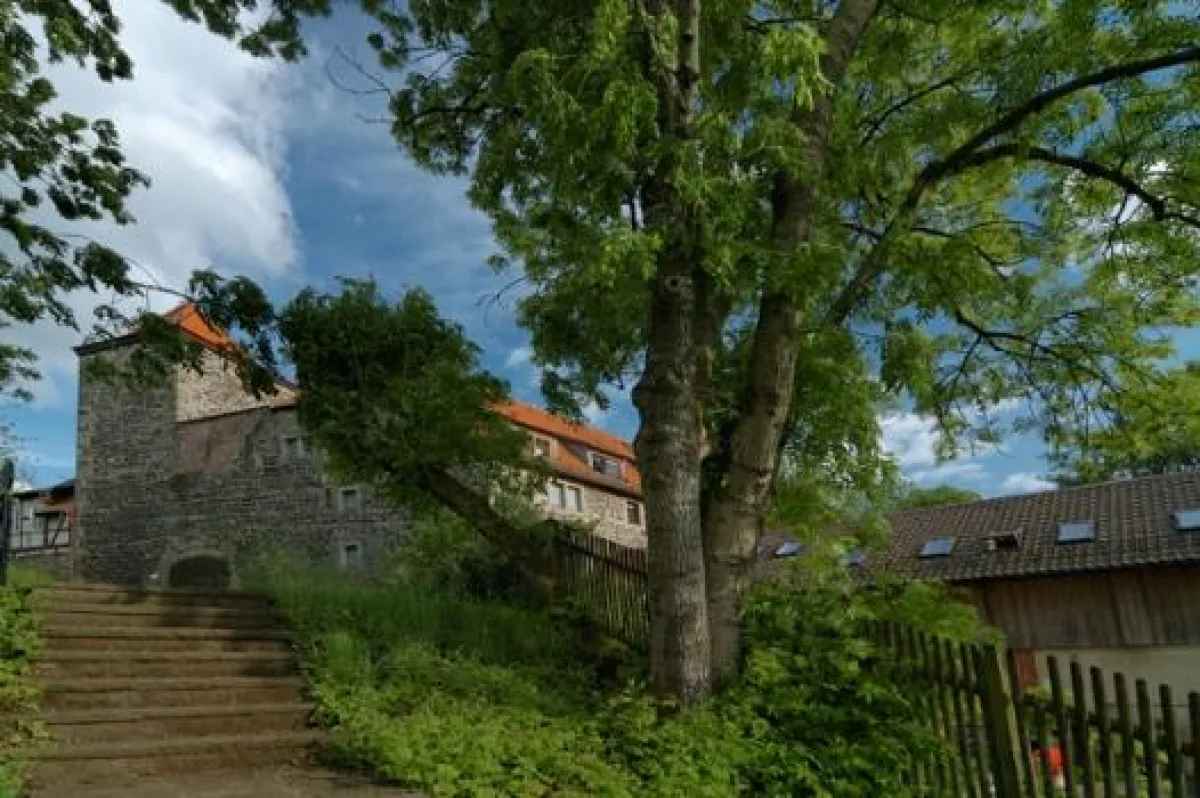BURG FÜRSTENECK - die Bildungsburg in Hessen