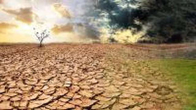 Bild: Artenschutz, Biodiversität und Klimaschutz in der Klimakrise 2020