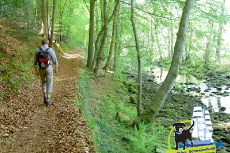 Bild: Frühling und Bewegung, Schweinehund und Gesundheit