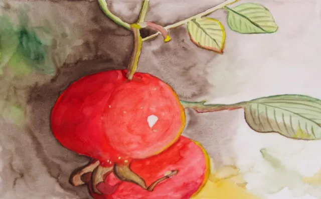 Bild: "Blüten und Blätter" Bilder von Manuela Merl im Botanischen Garten München