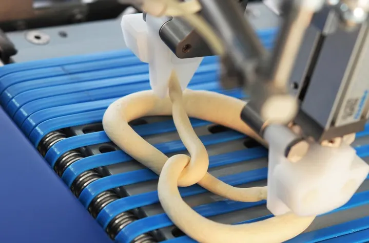 Champions auf der Südback unter sich Bild: Champions auf der Südback unter sich