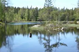 Bild: Svevilla-Ferienhäuser 2009 - »Familienfreundliche Häuser, wundervolle Naturerlebnisse«