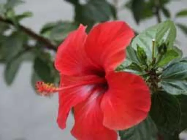 Kreta Sfakia ..Harmonie in der Natur Bild: Kreta Sfakia ..Harmonie in der Natur