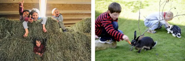 Zero Waste-Holiday – Reka macht’s möglich Bild: Zero Waste-Holiday – Reka macht’s möglich