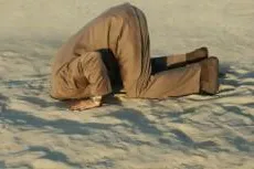 Bild: Gezielte Mikronährstoffanalyse bei Stress