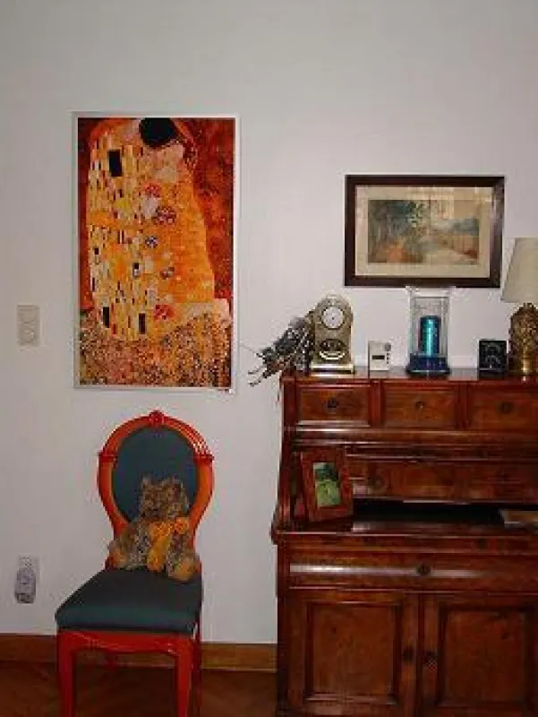 Der Klimt im Wohnzimmer muß kein Traum bleiben !