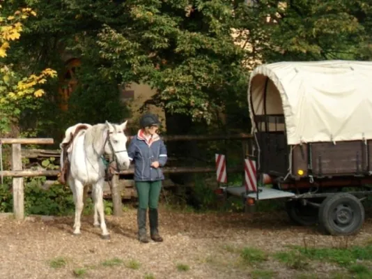 Reiturlaub oder Urlaub mit dem Partner ? Neues Reiterreise-Angebot kombiniert beides Bild: Reiturlaub oder Urlaub mit dem Partner ? Neues Reiterreise-Angebot kombiniert beides