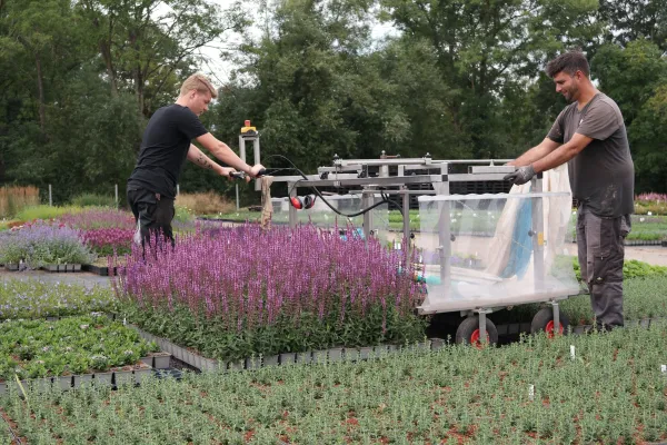 Bild: Ausbildung: Trotz Corona sehr gute Chancen im Gartenbau