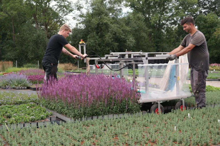 Ausbildung: Trotz Corona sehr gute Chancen im Gartenbau Bild: Ausbildung: Trotz Corona sehr gute Chancen im Gartenbau