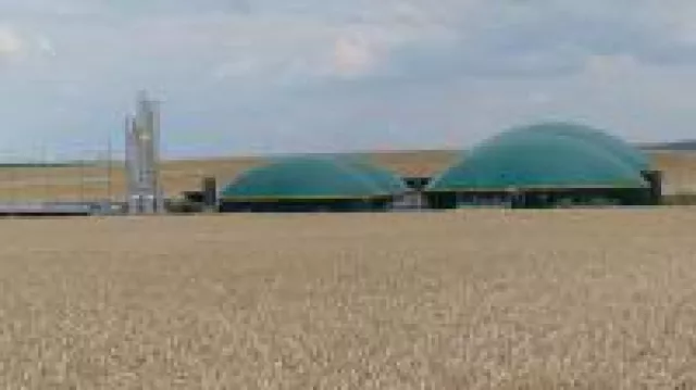 Bild: greenValue geht neue Wege?