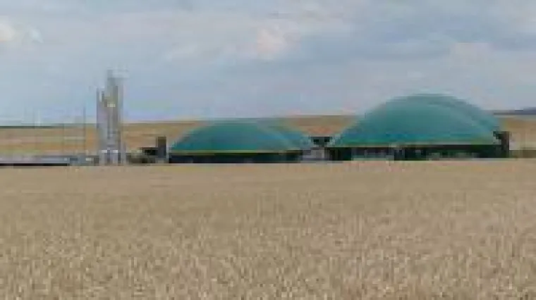 Bild: greenValue geht neue Wege?